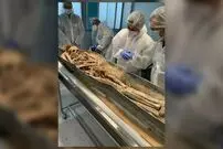 (ویدئو) راز مقبره‌های مخفی کشف‌شده در کلیسای نوتردام پاریس سرانجام برملا شد