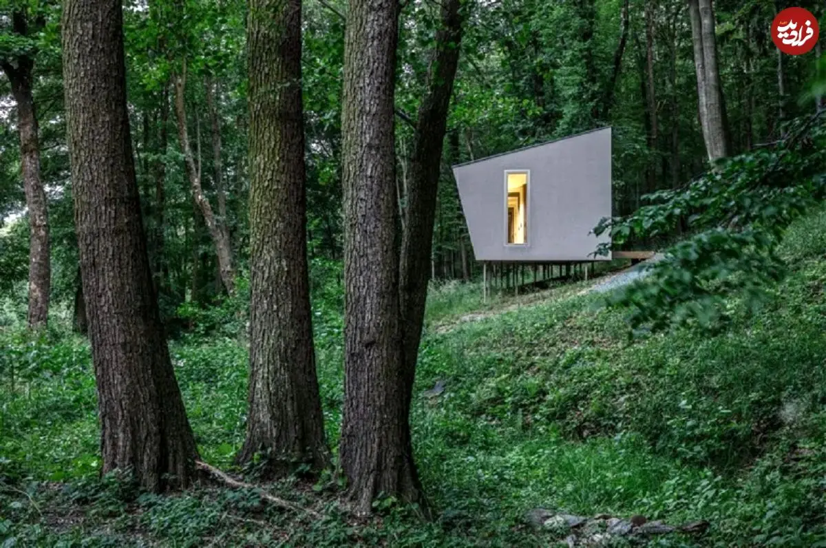 تصاویر؛ خانه ۴۰متری در دل جنگل؛ جای درست زندگی اینجاست، نه در این آلودگی!