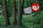 تصاویر؛ خانه ۴۰متری در دل جنگل؛ جای درست زندگی اینجاست، نه در این آلودگی!