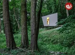 تصاویر؛ خانه ۴۰متری در دل جنگل؛ جای درست زندگی اینجاست، نه در این آلودگی!