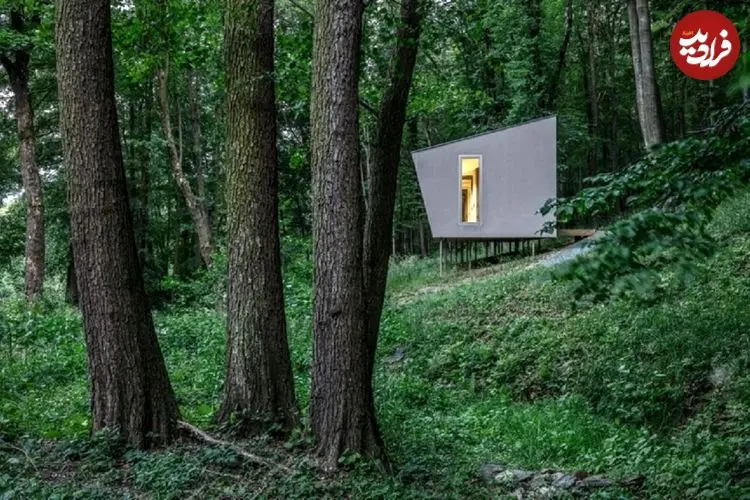 تصاویر؛ خانه ۴۰متری در دل جنگل؛ جای درست زندگی اینجاست، نه در این آلودگی!