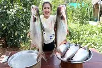 ببینید| غذای روستایی در کامبوج؛ پخت دو غذای سنتی با ماهی های بزرگ رودخانه ای