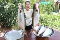 ببینید| غذای روستایی در کامبوج؛ پخت دو غذای سنتی با ماهی های بزرگ رودخانه ای