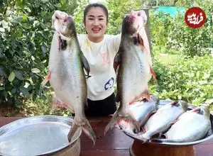 ببینید| غذای روستایی در کامبوج؛ پخت دو غذای سنتی با ماهی های بزرگ رودخانه ای