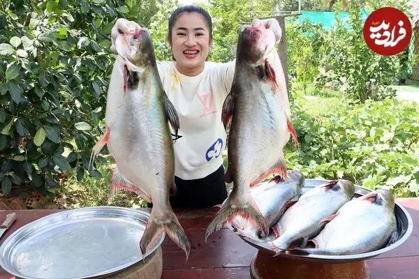 ببینید| غذای روستایی در کامبوج؛ پخت دو غذای سنتی با ماهی های بزرگ رودخانه ای