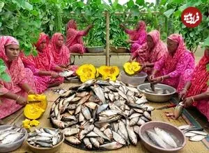 ببینید| غذای روستایی در بنگلادش؛ پخت یک غذای سنتی با ماهی ساردین، اسفناج و کدو حلوایی