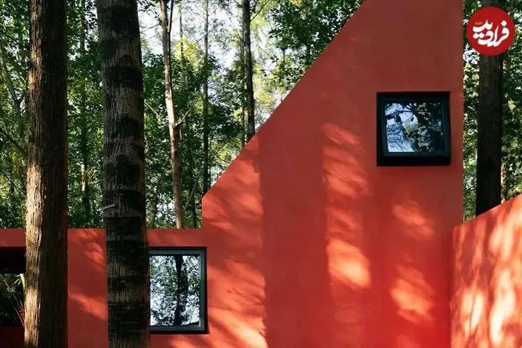 تصاویر| خانه‌ 55 متری میان جنگل‌؛ تجربه‌ای نو در معماری پایدار 