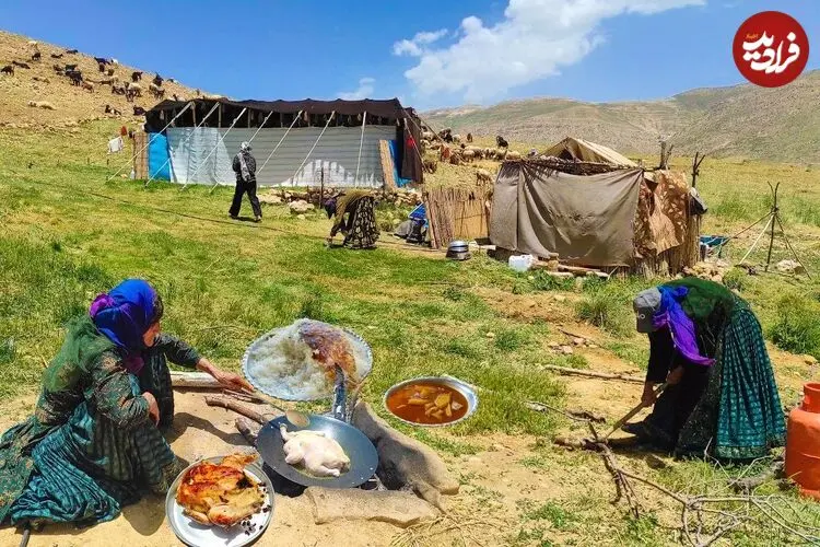 ببینید| غذای روستایی در ایران؛ پخت مرغ شکم پر توسط بانوی عشایر در کوهستان