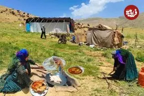 ببینید| غذای روستایی در ایران؛ پخت مرغ شکم پر توسط بانوی عشایر در کوهستان