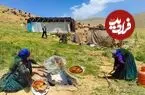 ببینید| غذای روستایی در ایران؛ پخت مرغ شکم پر توسط بانوی عشایر در کوهستان