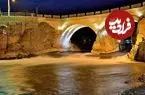 عکس| سفر به ایران قدیم؛ عبور یک درشکه از روی «پل زمانخان» در دوران قاجار