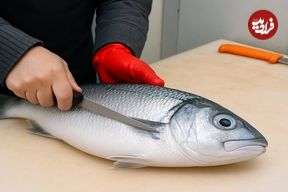 ببینید؛ سرعت و مهارت یک ماهی فروش در برش ماهی تازه صید شده 