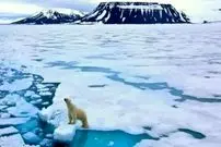 چرا قطب شمال برای آمریکا اهمیت دارد؟