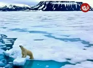 چرا قطب شمال برای آمریکا اهمیت دارد؟