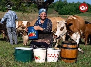 (ویدئو) تهیه پنیر محلی با 40 کیلو شیر به روش بانوی مسن روستایی آذربایجانی