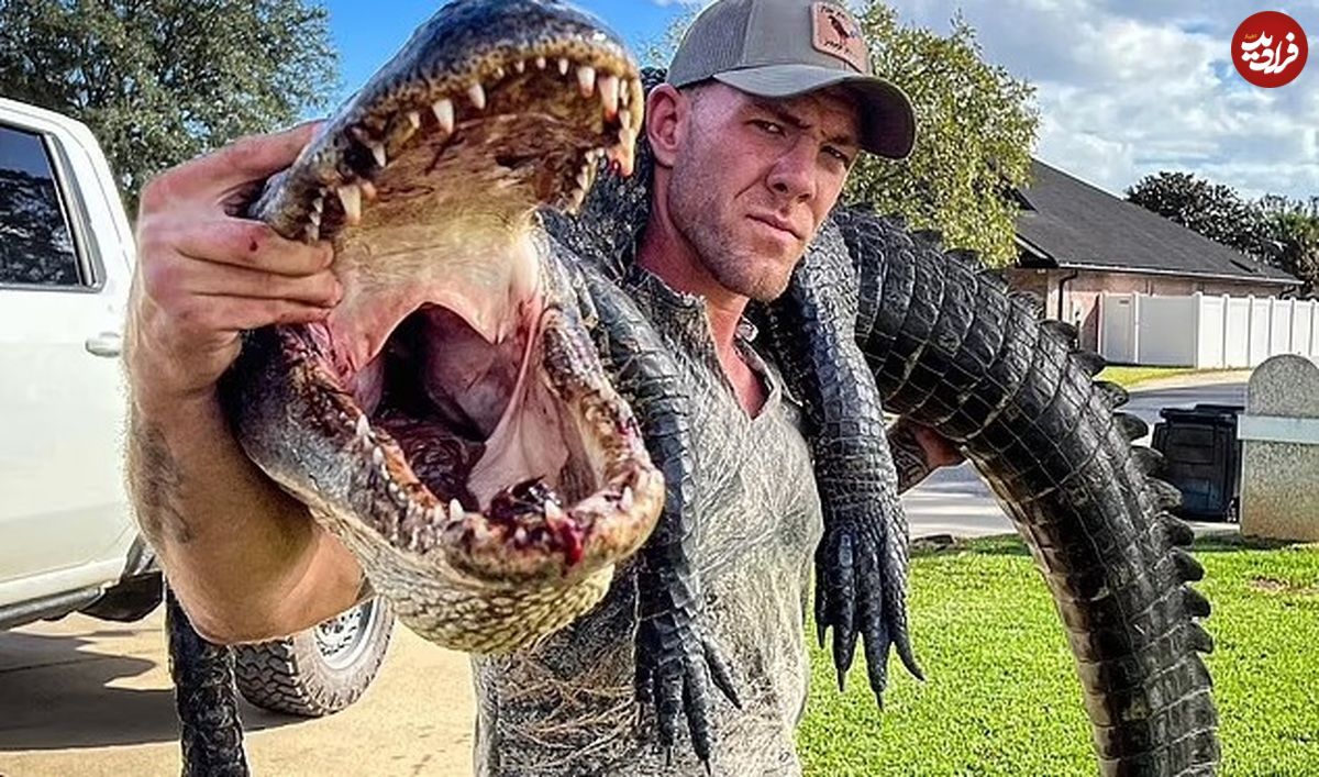 (ویدئو) مبارز MMA با دست خالی تمساح عظیم‌الجثه را شکار کرد