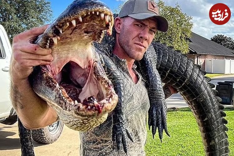 (ویدئو) مبارز MMA با دست خالی تمساح عظیم‌الجثه را شکار کرد