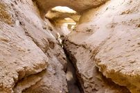 سرو ابرکوه خشک می شود؟ ماجرای خشکی قناتی که سرو ابرکوه را آب می داد