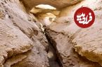 سرو ابرکوه خشک می شود؟ ماجرای خشکی قناتی که سرو ابرکوه را آب می داد