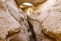 سرو ابرکوه خشک می شود؟ ماجرای خشکی قناتی که سرو ابرکوه را آب می داد