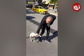 (ویدئو) مردی که باید هر روز گربه اش را از وسط دعواهای خیابانی جمع کند!