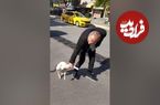 (ویدئو) مردی که باید هر روز گربه اش را از وسط دعواهای خیابانی جمع کند!