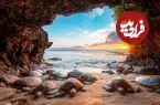 نگاهی به زیباترین و تکان‌دهنده‌ترین تصاویر اعماق اقیانوس در رقابت عکاسی ۲۰۲۶
