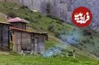 عکس| سفر زمان؛ محل پرورش کرم ابریشم در گیلان؛ 140 سال قبل