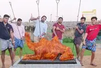 (ویدئو) فرآیند پخت یک شتر 340 کیلویی در تنور زیرزمینی توسط 6 جوان روستایی هندی
