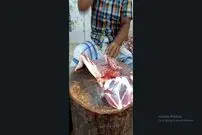 (ویدئو) توانایی شگفت انگیز این استاد هندی در برش زدن نیم شقه گوسفند