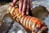 ببینید| غذای خیابانی در اندونزی؛ پخت دو غذای سنتی با میگوی مانتیس در جاکارتا
