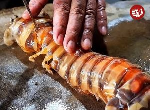 ببینید| غذای خیابانی در اندونزی؛ پخت دو غذای سنتی با میگوی مانتیس در جاکارتا