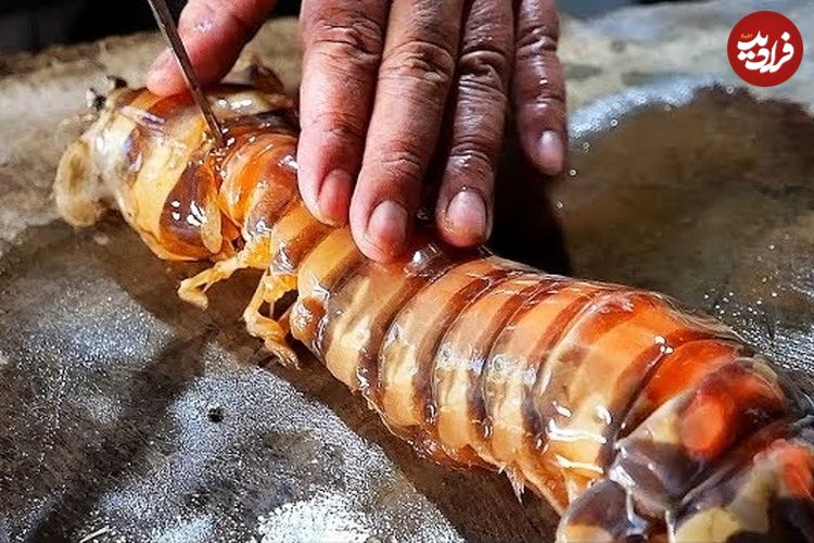 ببینید| غذای خیابانی در اندونزی؛ پخت دو غذای سنتی با میگوی مانتیس در جاکارتا