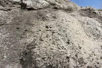 خوانش بخش‌هایی از کتیبه ساسانی که در حال غرق شدن است