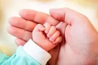  این پیرمرد ۸۷ ساله بجنوردی صاحب دوازدهمین فرزند شد!