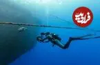 تمهید جدید دیوید آتنبرو برای اثبات استفاده نکردن ار هوش مصنوعی