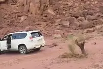 ( ویدیو) طبیعت ، این گونه انتقام خودش را می گیرد 