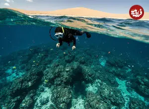 تولد انسان دوزیست! | با این تکنولوژی، بدون کپسول اکسیژن می‌توانید تا ۴ ساعت زیر آب بمانید