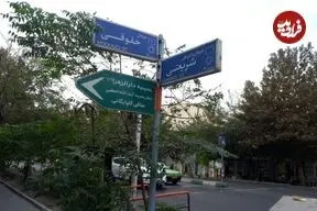 عکس| سفر زمان؛ عبور اسب و الاغ از خیابان خاکی شریعتی؛ 100 سال قبل