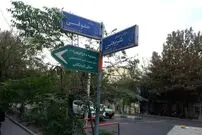 عکس| سفر زمان؛ عبور اسب و الاغ از خیابان خاکی شریعتی؛ 100 سال قبل