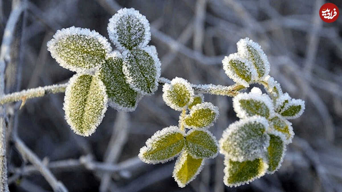 عکس؛ یخ‌بندان در انتظار مردم ۲۵ شهر کشور