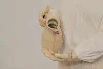( عکس) کشف شگفتی‌ساز ربات ۲ هزار ساله در یونان