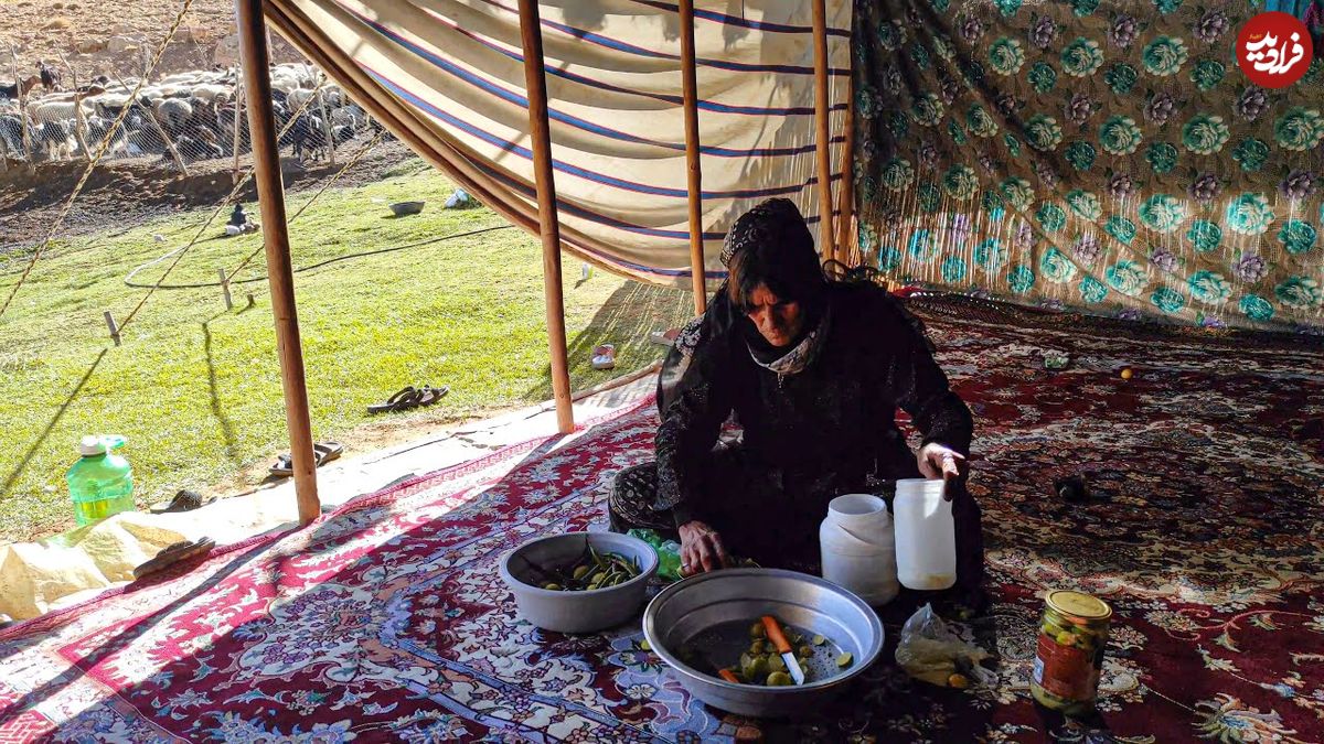 ببینید؛ غذای روستایی در ایران؛ فرآیند تهیه ترشی لیمو ترش به سبک یک بانوی عشایر