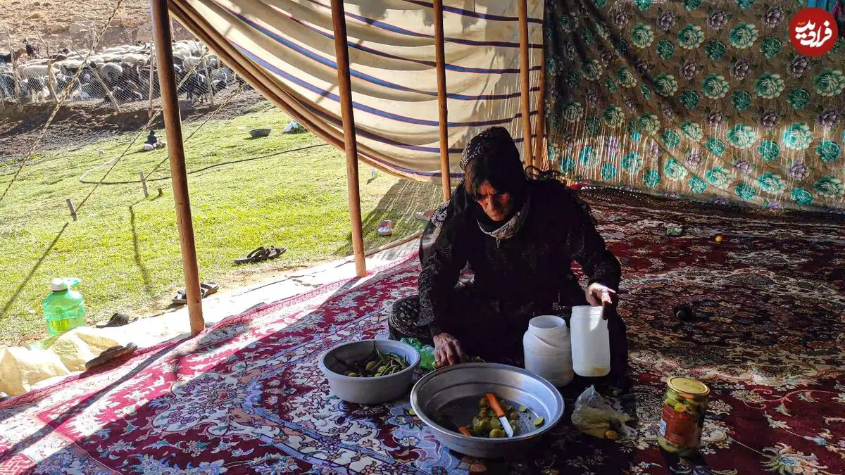 ببینید؛ غذای روستایی در ایران؛ فرآیند تهیه ترشی لیمو ترش به سبک یک بانوی عشایر