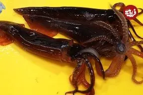 ببینید| غذای خیابانی در کره؛ برش زدن ماهرانه ماهی مرکب و تهیه ساشیمی با آن در پوهانگ