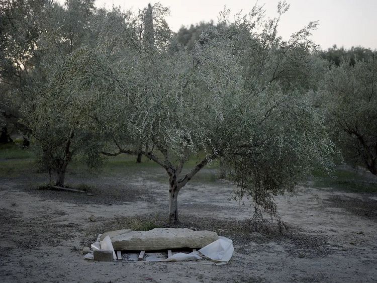 (تصاویر) مقبره‌ای پر از «گنج» که در باغ زیتون کشف شد 
