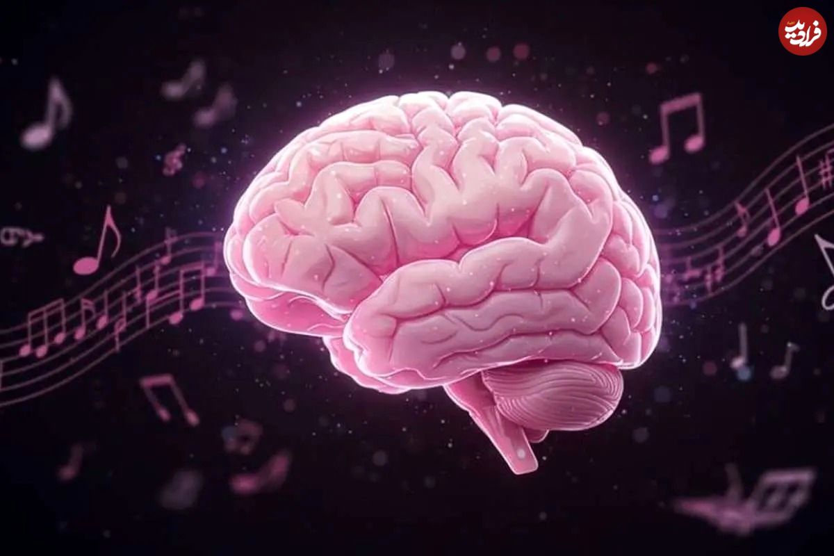 مغز چگونه ریتم موسیقی را درک می کند؟