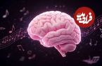 مغز چگونه ریتم موسیقی را درک می کند؟