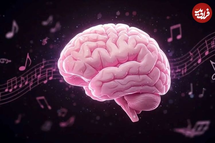 مغز چگونه ریتم موسیقی را درک می کند؟