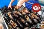 ببینید؛ غذای خیابانی در سنگاپور؛ پخت خوراک خرچنگ تند توسط آشپز ماهر
